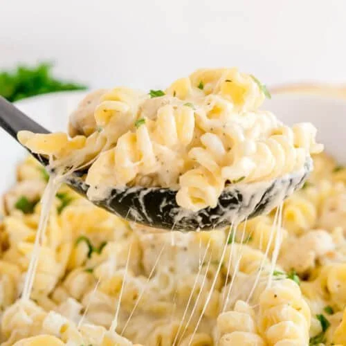 Chicken Alfredo Pasta Bake